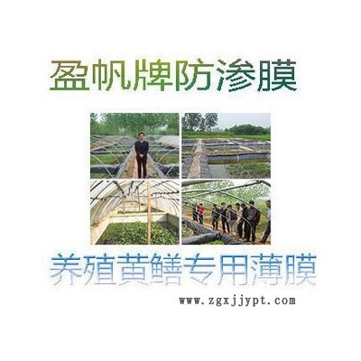 養(yǎng)殖泥鰍黃鱔專用HDPE防滲膜 水產膜 養(yǎng)殖膜 養(yǎng)殖塑料薄膜
