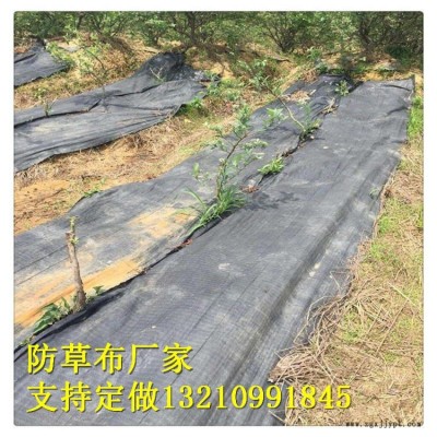 園藝地布廠家，果園園林防草布 室內(nèi)花盆擺放地布 廠家質(zhì)量好價(jià)格合理