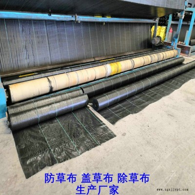 上海PP防草布,果園除草布_蓋草布_抑制雜草生長地布,透氣_透水_防蟲害