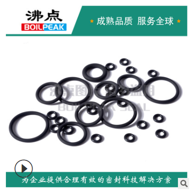 全氟醚O型圈噴涂用耐腐蝕o型圈全氟o型圈機(jī)械密封o型圈替代7075