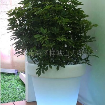 提供大型滾塑加工，滾塑花盆，異型滾塑加工(圖)