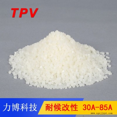 TPV煙臺(tái)萬華