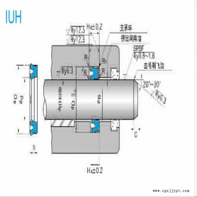 NOK密封件USI型 密封圈 耐磨損 機械活塞桿油封機械密封件