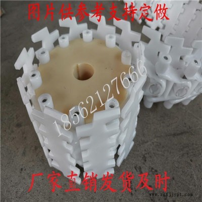 pom鏈板實(shí)體廠家，塑料提升鏈板設(shè)備廠家，塑料擋板鏈板專業(yè)定制