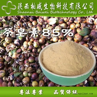 茶皂素 茶樹(shù)籽提取物 發(fā)泡劑 天然非離子表面活性劑 現(xiàn)貨批發(fā)價(jià)格 柏威生物 源頭工廠貨源 85%