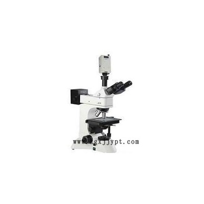 zzz供炭黑分散度檢測儀(中西器材) 型號(hào):DJ13-DZ3600庫號(hào)：M358248