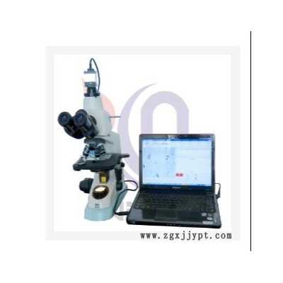 th3600l炭黑分散度檢測(cè)儀  型號(hào):VY005-th3600l  庫號(hào)：M325379