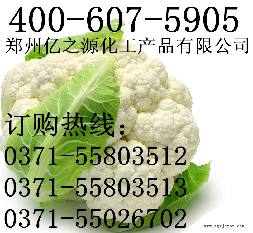 食用植酸批發(fā)價(jià)格99.9% 廠家直供液體防腐劑 液體抗氧化劑示例圖5