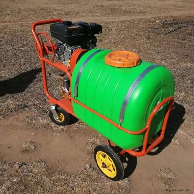 強鵬機械手推農(nóng)藥噴霧機 果樹打藥機 輕便小巧果樹噴霧機