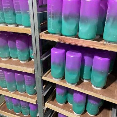 無塵玩具噴漆加工費用-半壁山塑料丨耐用安全-東陽玩具噴漆加工