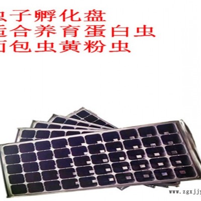 白色育苗盤(pán)-育苗盤(pán)-河北元慶(查看)